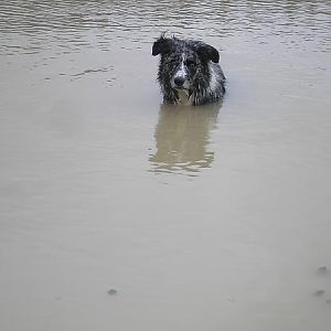 Mate, you keep on doing this and people are going to start throwing you fish!