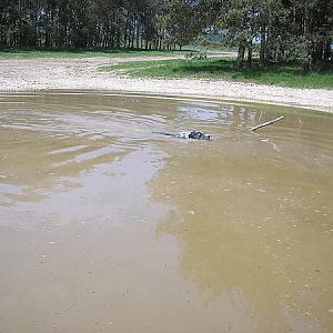 Having a swim in a bomb crater