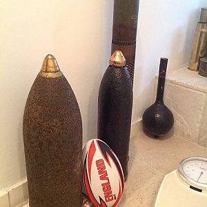 shells 5