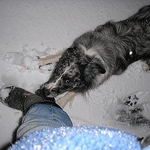 'but I don't want to back indoors yet dad'