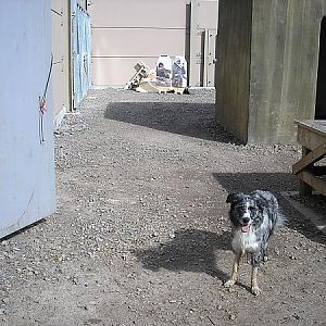 'don't look now but there's peoples behind us dad!'