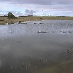new 'lake' on the plain