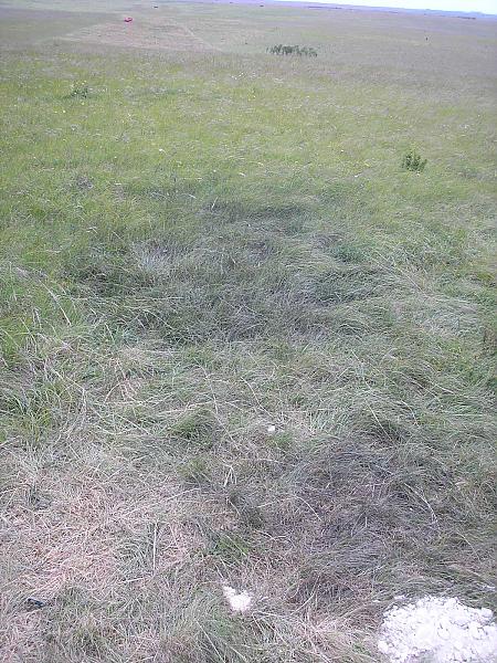50 cal woz ere
