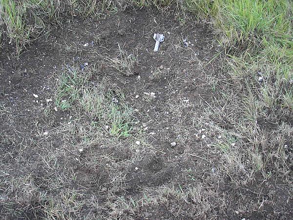 81mm HE impact crater