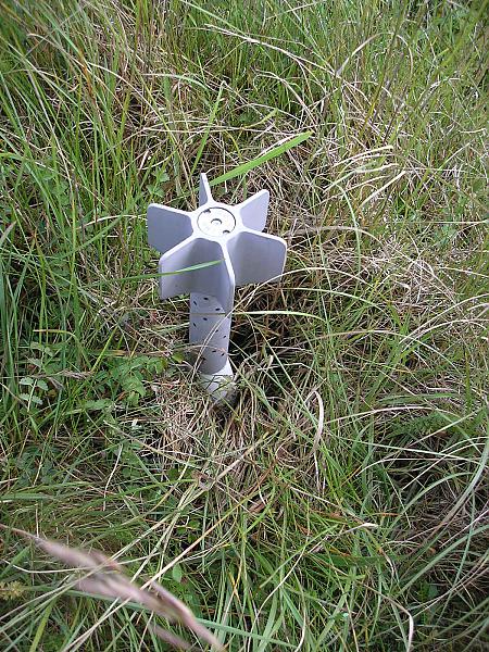 81mm mushroom