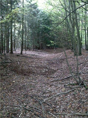 Ancient ditch & banks
