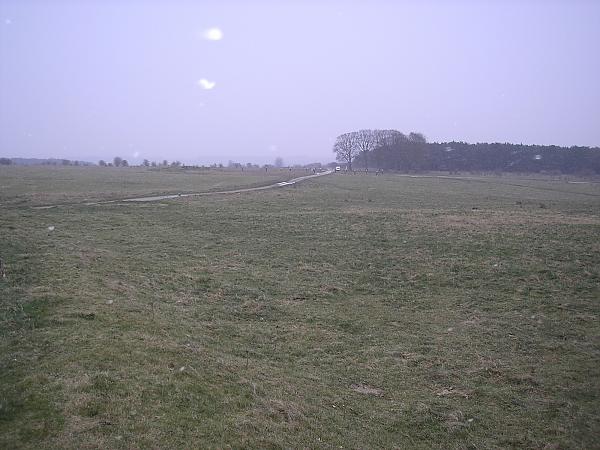 AT Range and it's starting to snow!