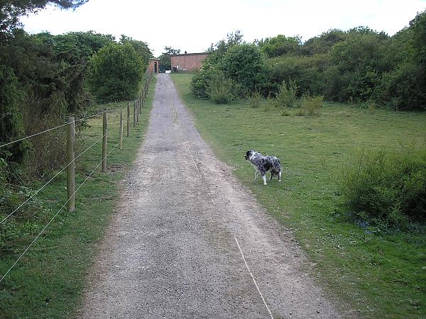 Bulford ranges(2)