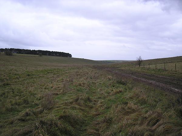 Chisenbury 2