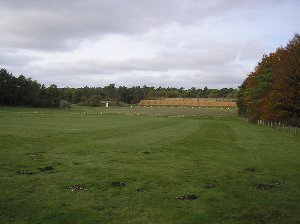 D range