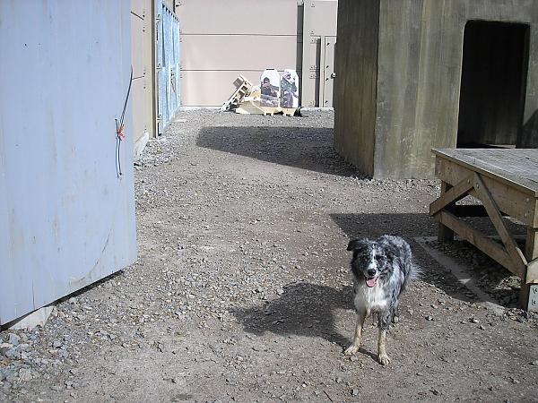 'don't look now but there's peoples behind us dad!'