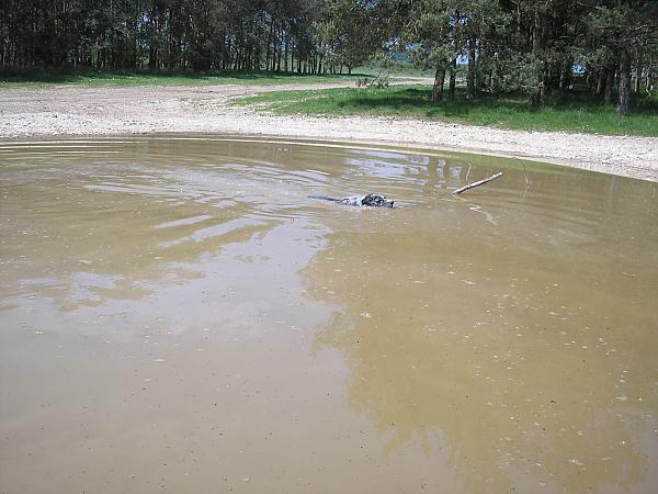 Having a swim in a bomb crater
