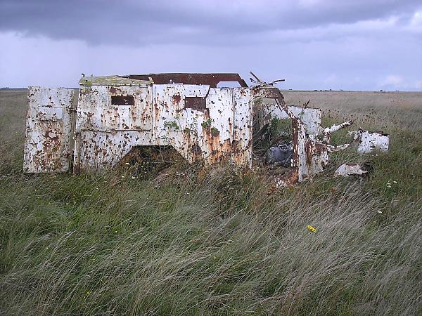 Humber pig