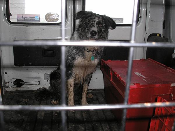 I don't know why your'e so happy,I'm going home for tea!