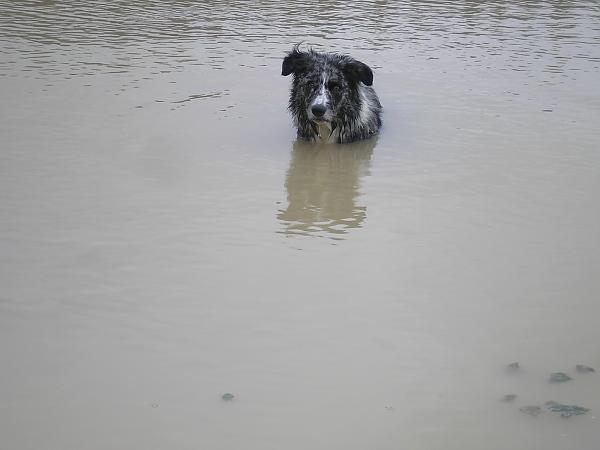 Mate, you keep on doing this and people are going to start throwing you fish!