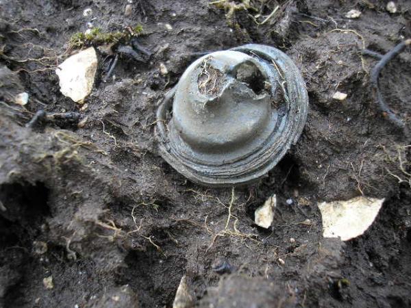Mills Fragments On The WW2 Grenade Range