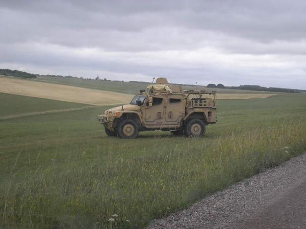 More Toys