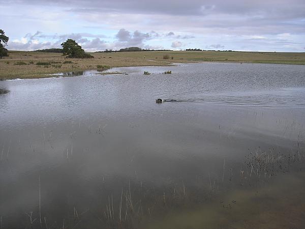 new 'lake' on the plain