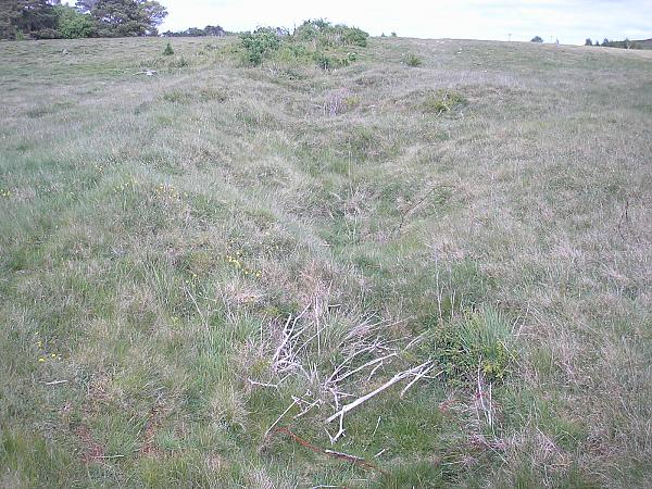 Old grenade trench