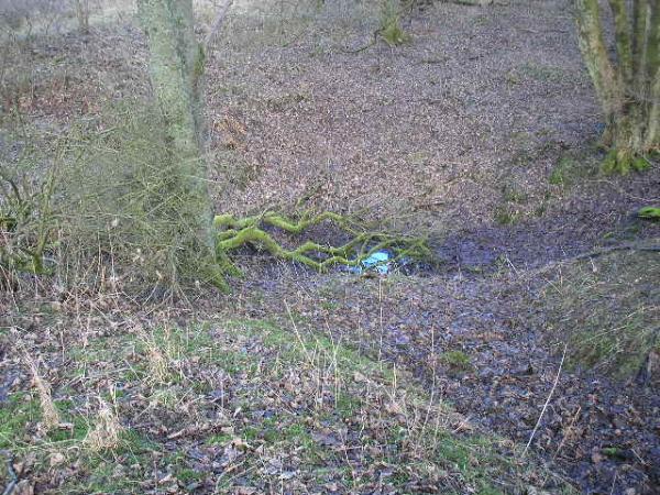 Shell Crater With Slip Trench cut into it,Bellewaard Wood.