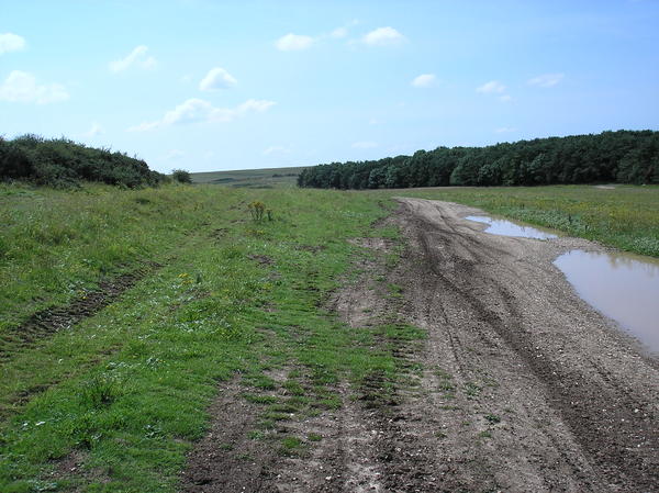This area was used as a live firing training area during WW2