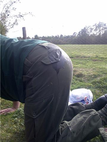 This is what happens if you sit in the dogs drink!
