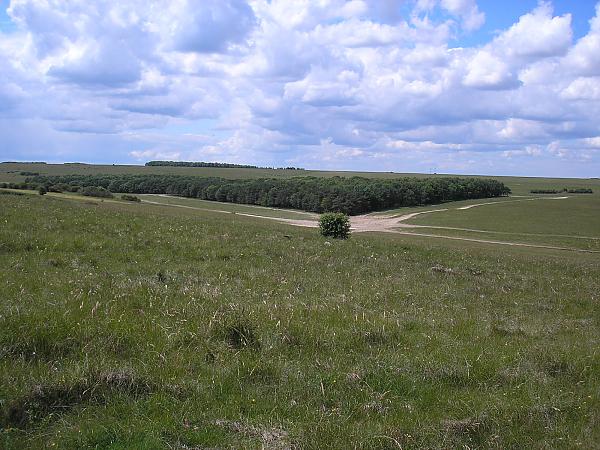 Wartime live firing training area