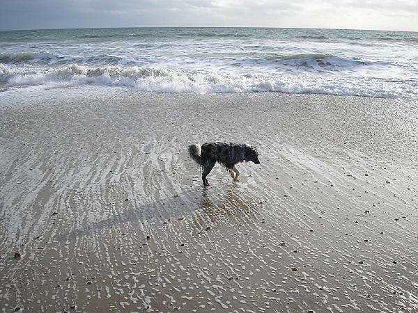 Well wev'e been to the seaside do you want to go to the zoo tomorrow?