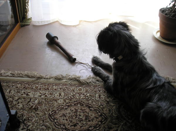"what's this bit of string do dad?"