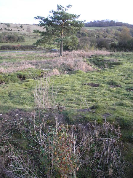 WW1 practice trench
