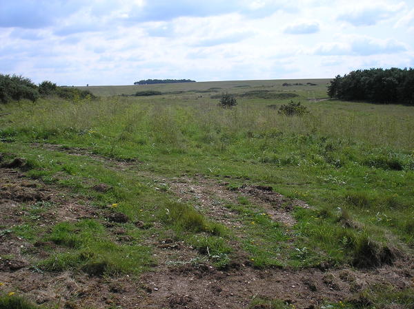 WW2 live firing area