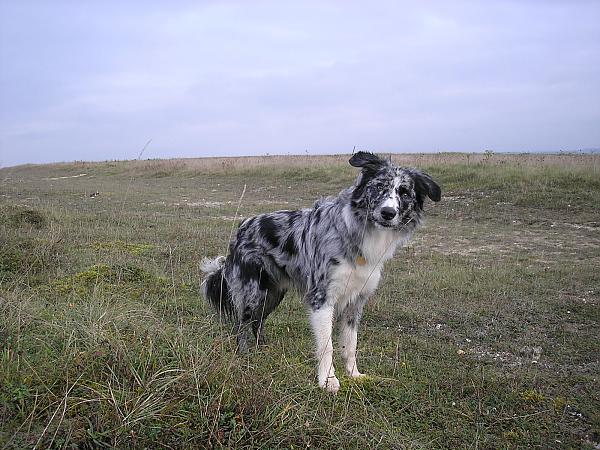 You can look as cute as you like...your'e still not getting my sandwich!